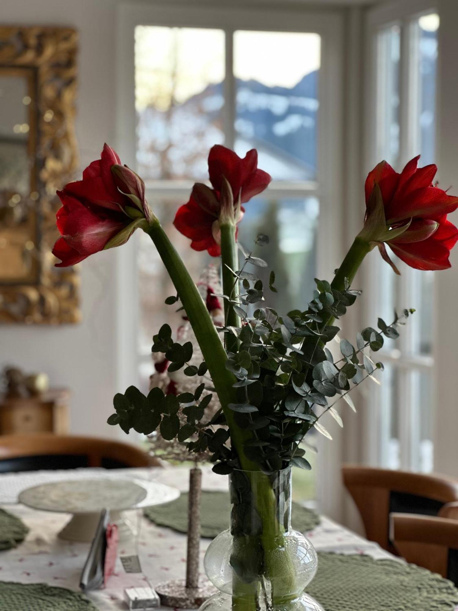 Villa Kitzbuehel Κίρχμπεργκ ιν Τιρόλ Εξωτερικό φωτογραφία